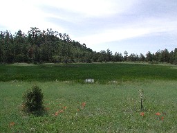 The Pond at Vaca